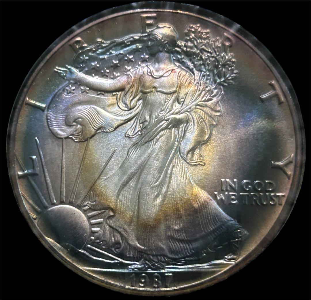 アメリカ 1987 Walking Liberty銀貨 美ブルートーン 1$