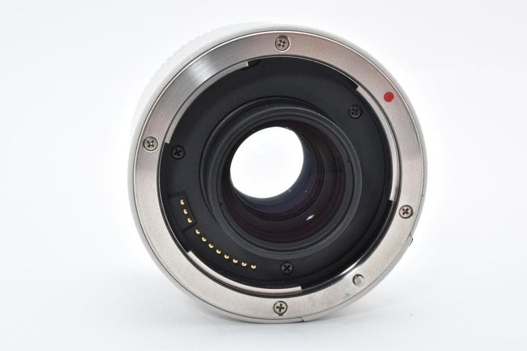 Canon キャノン EXTENDER EF 2x エクステンダー レンズ