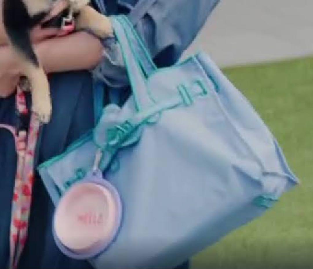 【新品未使用】LA COUSETTE エコバッグSサイズ　完売品