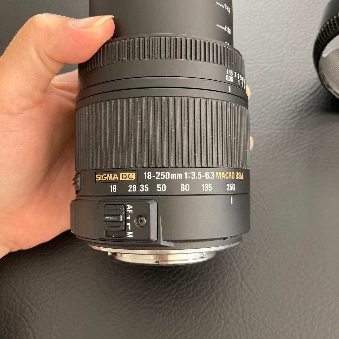 シグマ高倍率ズーム18-250mm ペンタックス　保護フィルター付