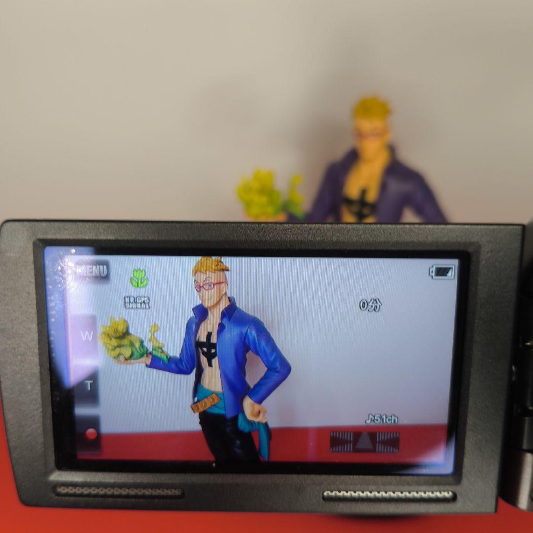 【動作確認済】SONY ソニー HDR-CX590V Handycam