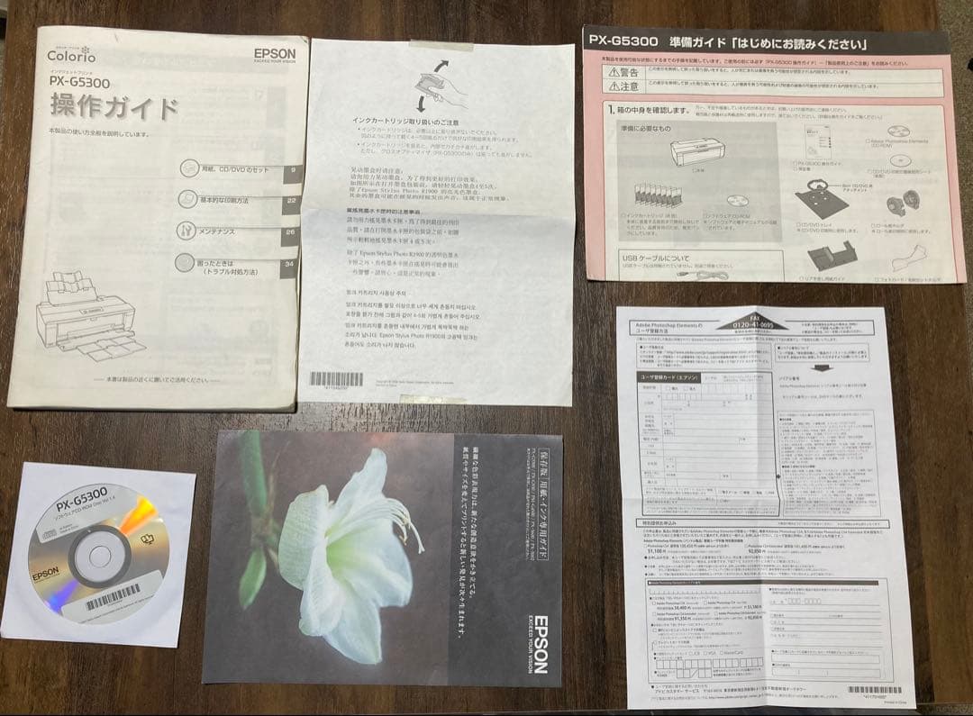 エプソン Colorio PX-G5300