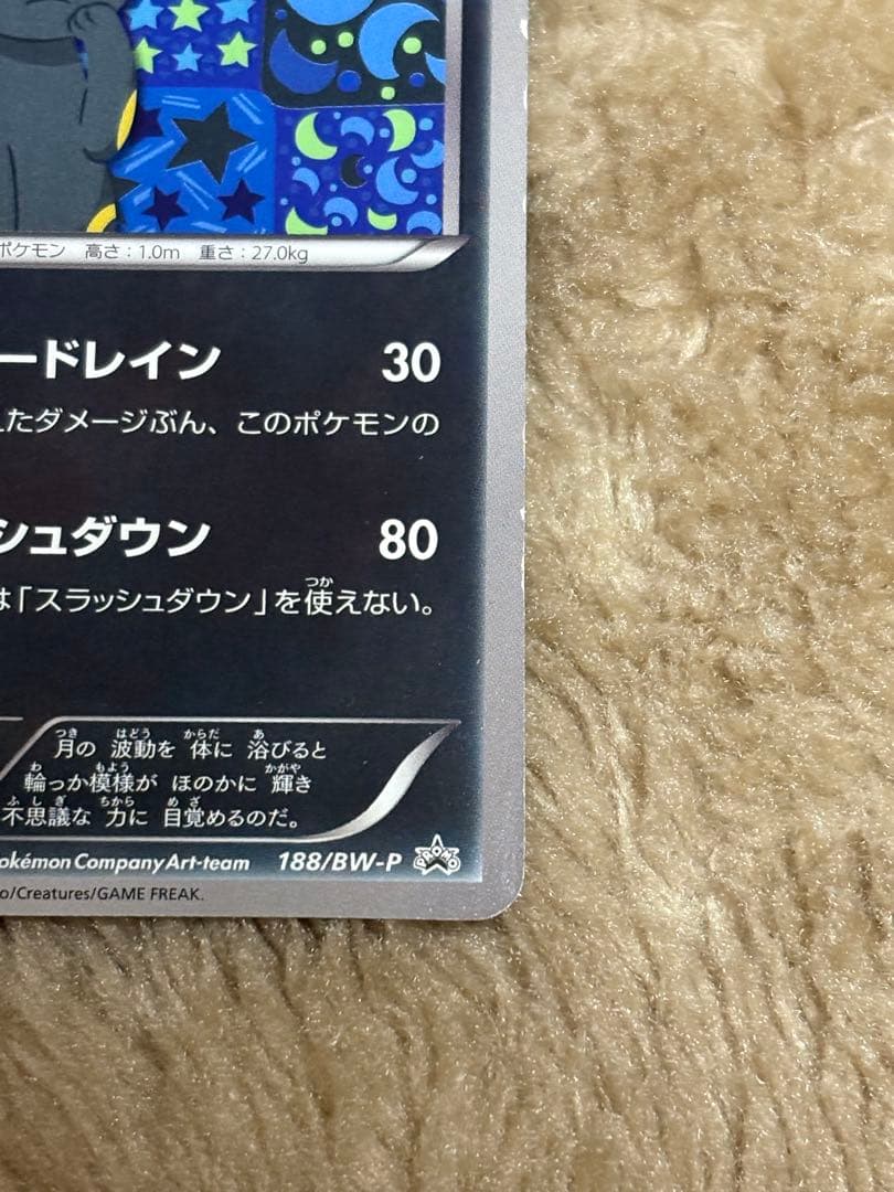 ブラッキー　イーブイファイルコレクション　188/BW-P