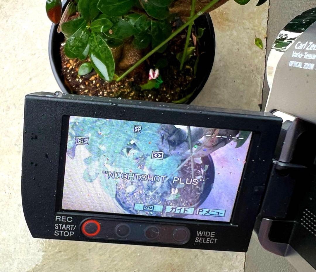 Mini DV　ソニー　デジタルビデオカメラ　SONY DCR-HC62