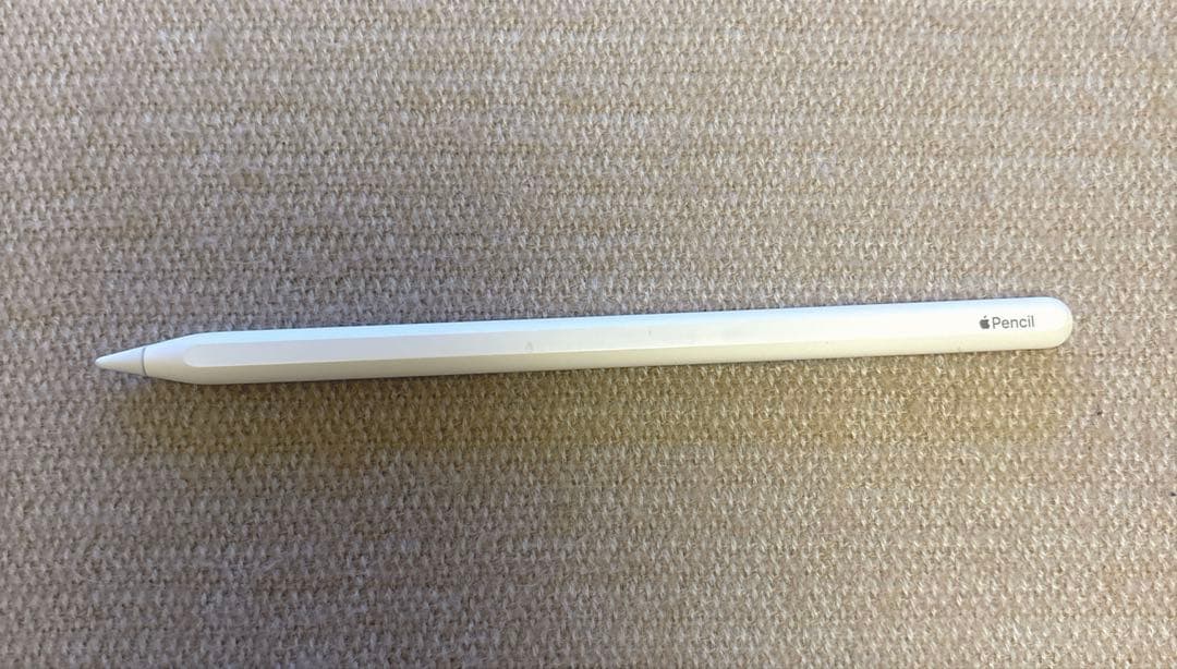 iPad Pro 12.9インチ (第3世代) 256GB