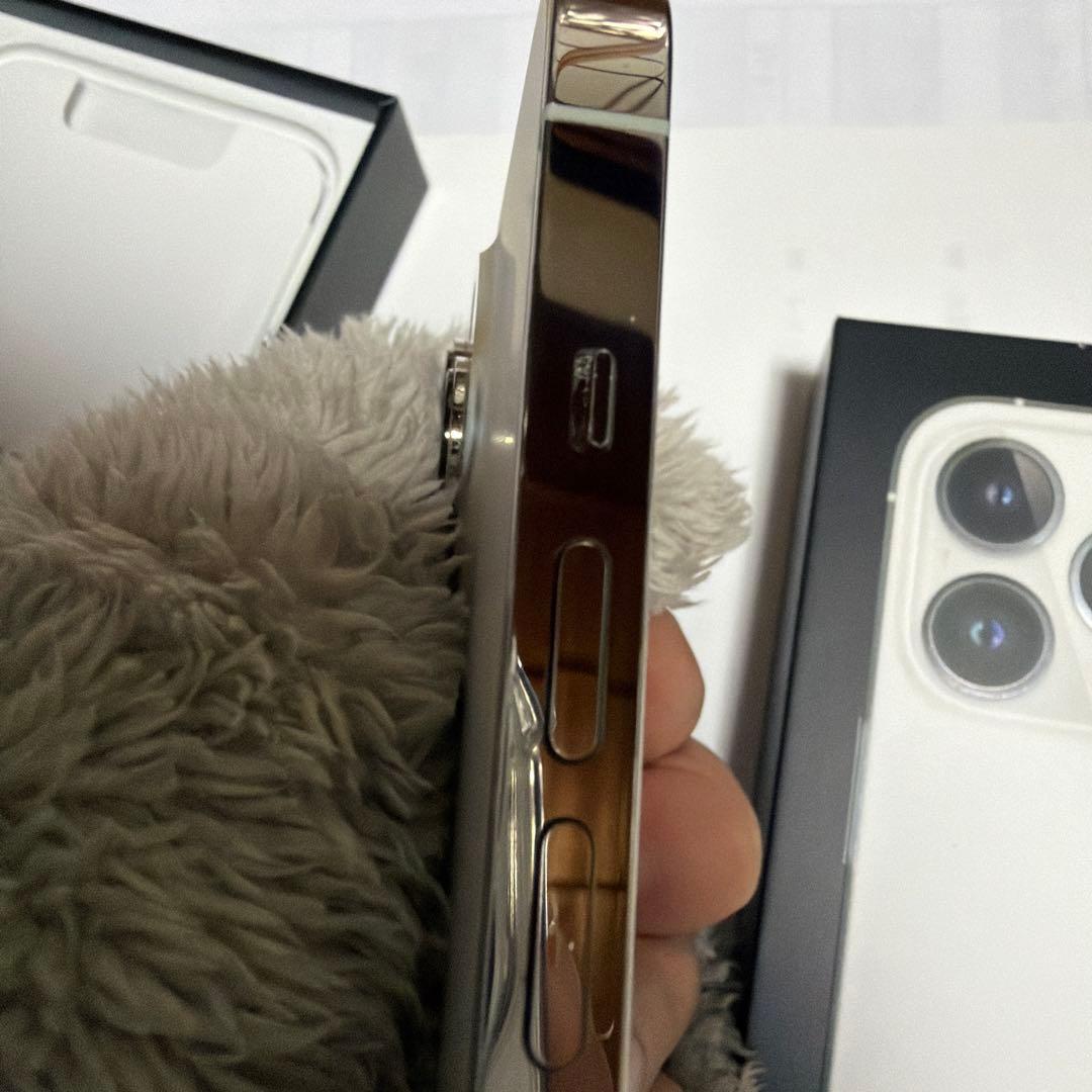 Apple iPhone 13 Pro シルバー 本体 箱付き