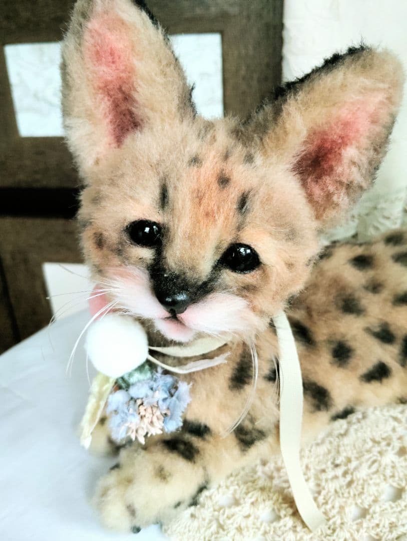 生後２ヶ月♡ベビーサーバルキャット♡アートドール♡ぬいぐるみ♡子猫ちゃん♡