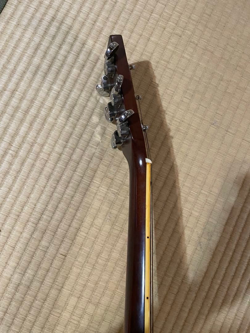 【送料込】　東海楽器　キャッツアイ　アコースティックギター