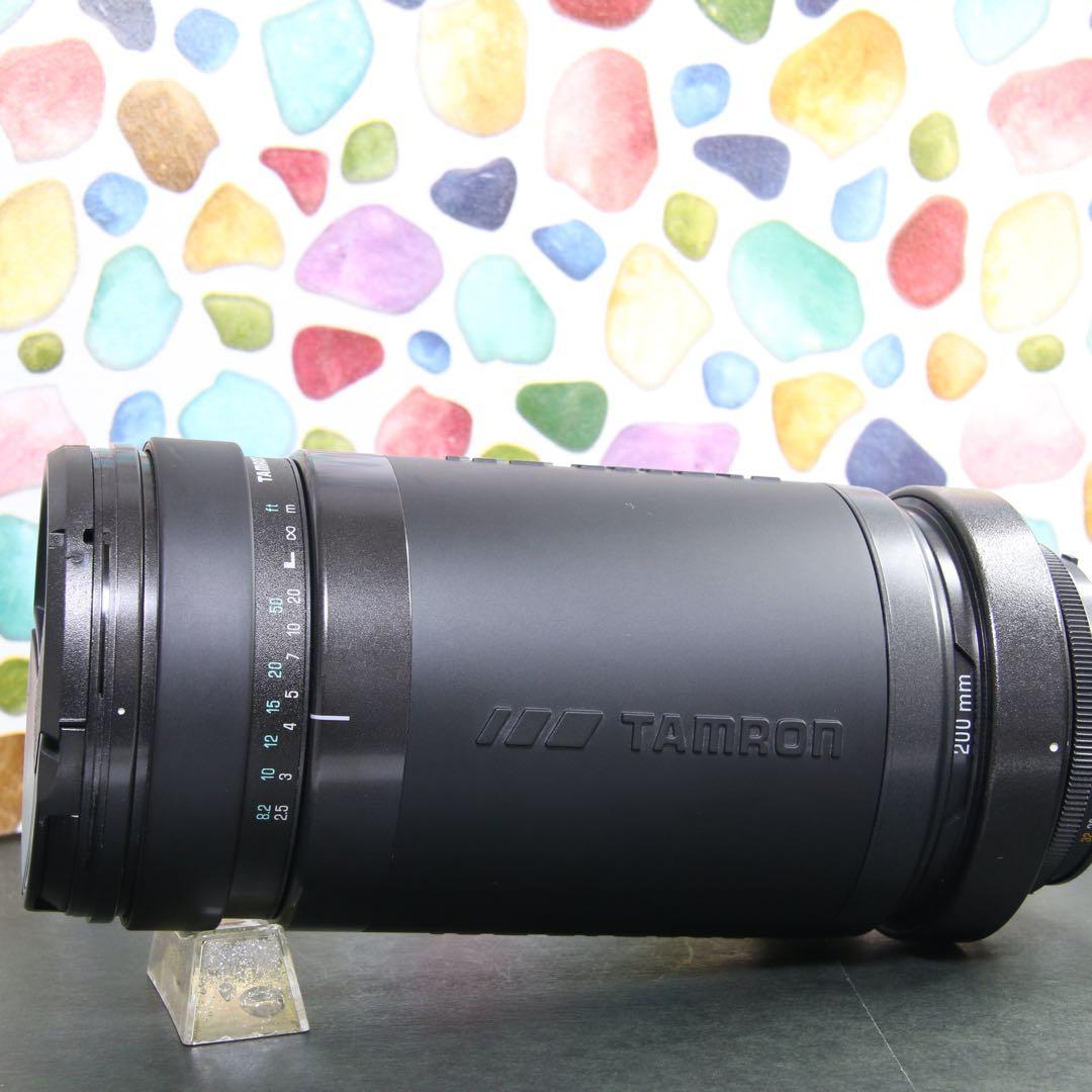 ♥︎◇美品 ◇TAMRON 200-400ｍｍ NIKON 75DN