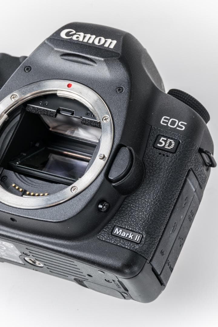 Canon EOS5DⅡ＋EF24-105 F4 L ISキット一式