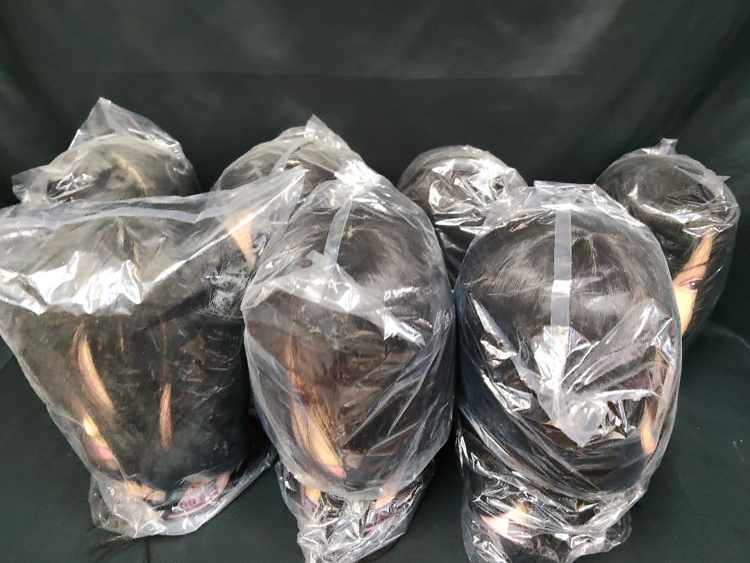 【7体セット】美容師国家試験 カットウィッグ 50B 人毛MIX