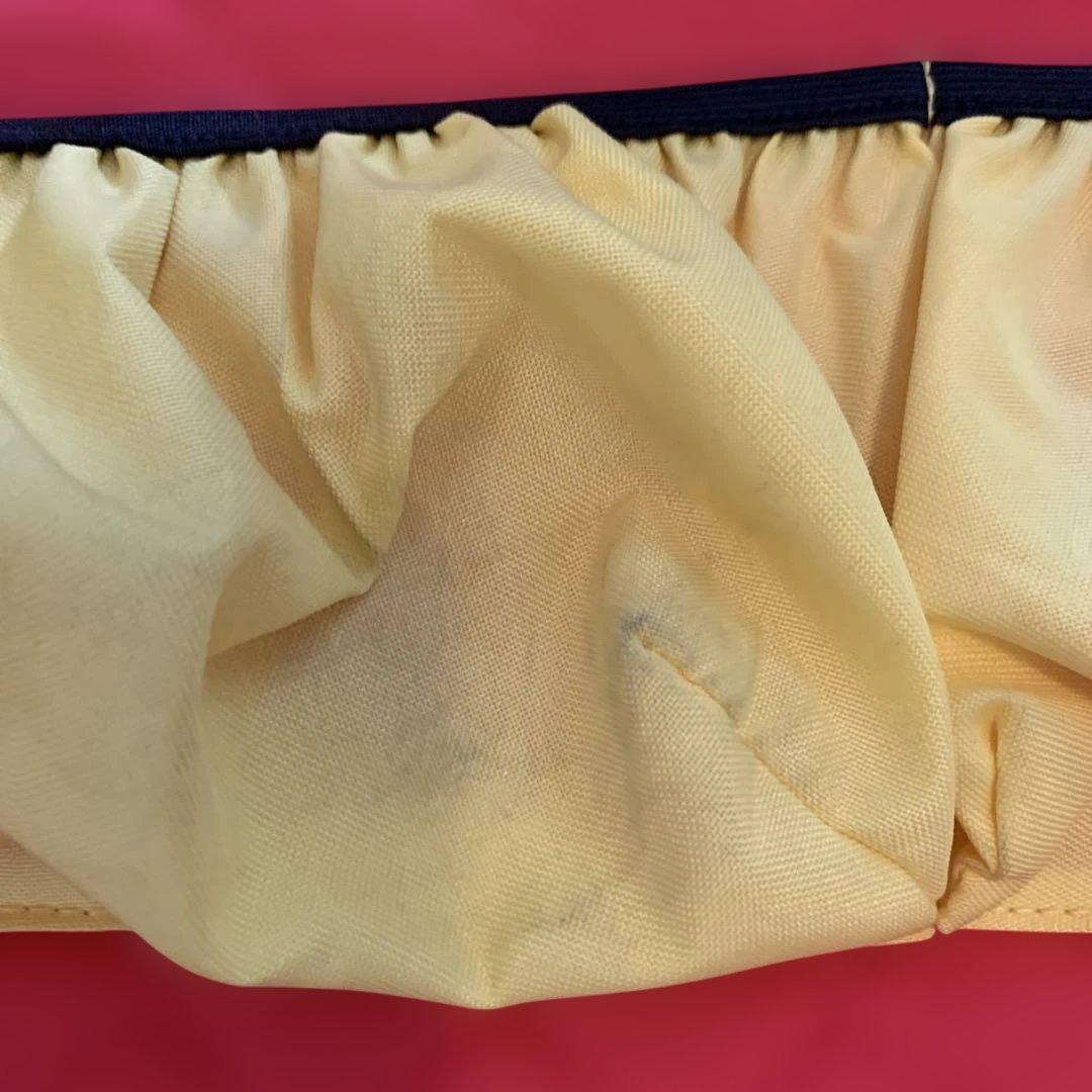 DWE ミッキー ブルーレイメイト★持ち運びバッグ、カーポケット付属