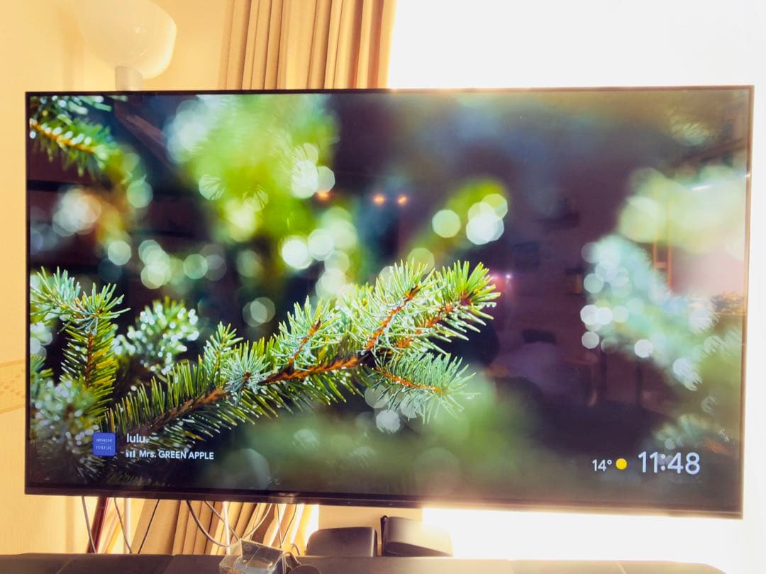 定価約30万★】SONY BRAVIA XRJ-55A80J 4K有機ELテレビ
