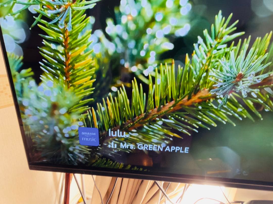 定価約30万★】SONY BRAVIA XRJ-55A80J 4K有機ELテレビ