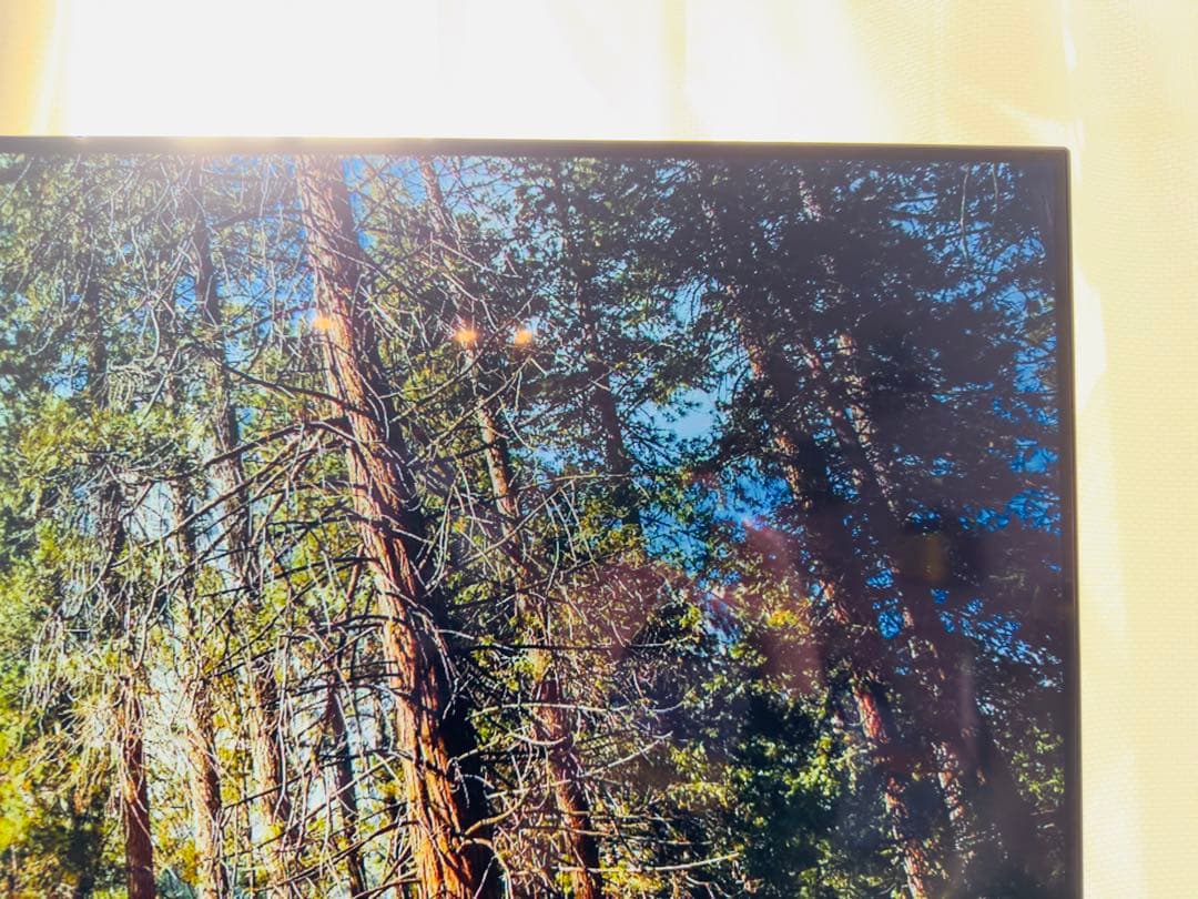 定価約30万★】SONY BRAVIA XRJ-55A80J 4K有機ELテレビ