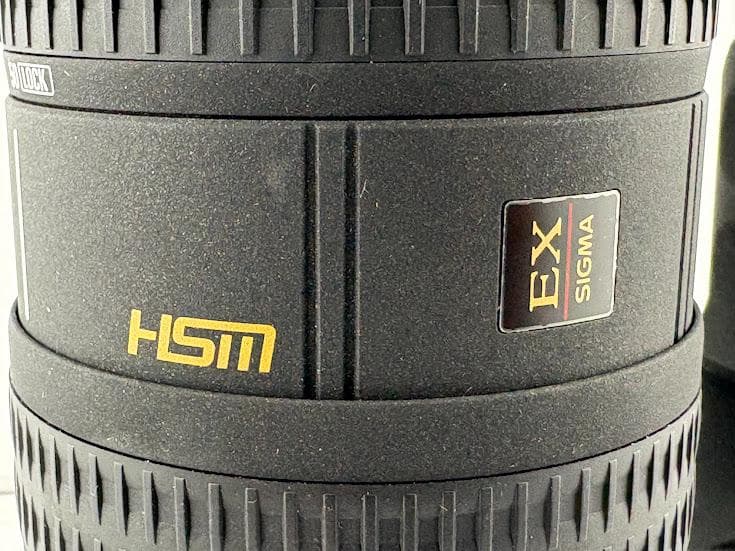 ★極上美品★シグマ APO 50-500mm F4-6.3 EX RF HSM