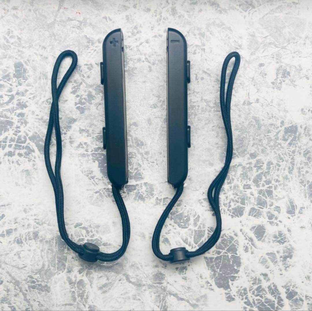 あ*ん様 Nintendo Switch 本体 グレー マイクロファイバー付き