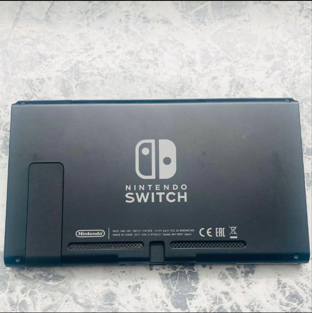 あ*ん様 Nintendo Switch 本体 グレー マイクロファイバー付き