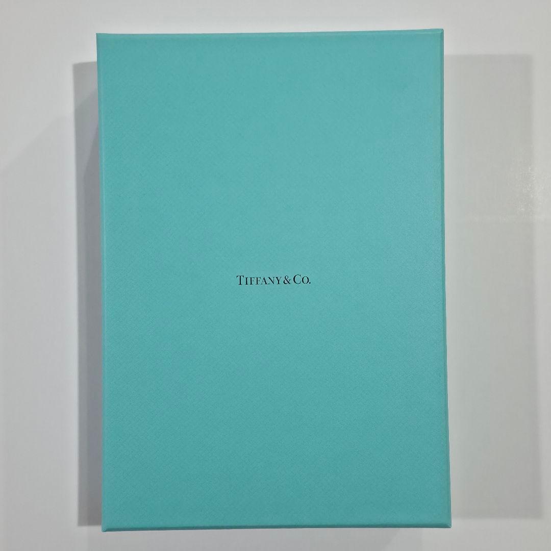 新品 ティファニー SS LGLINK FORGE POLNL 18IN