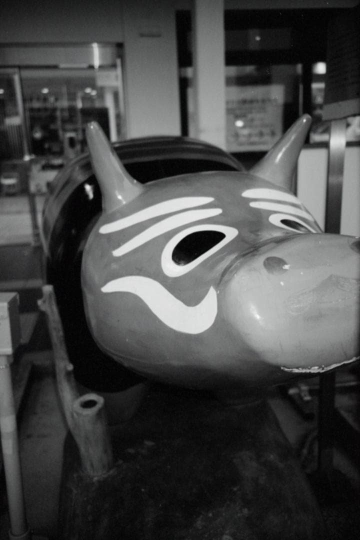 【動作品】RICOH R1s【フィルムカメラ】