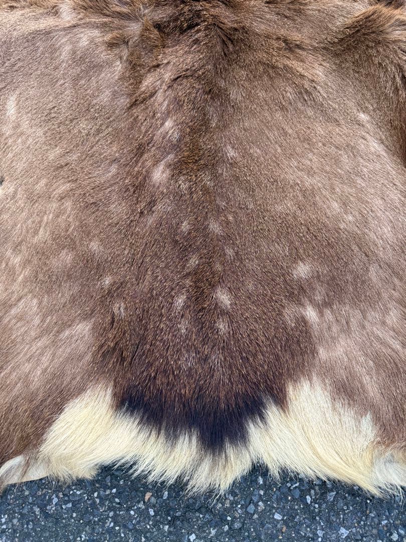 日本鹿 ラグマット 毛皮 敷物 ブランケット 蝦夷鹿 ブッシュクラフト キャンプ