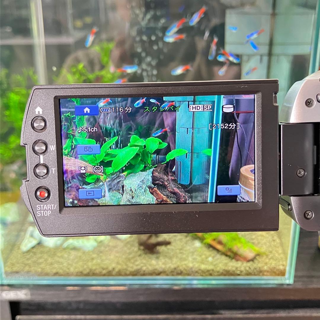 SONY ハンディカム HDR 500V ビデオカメラ【動作確認済み】