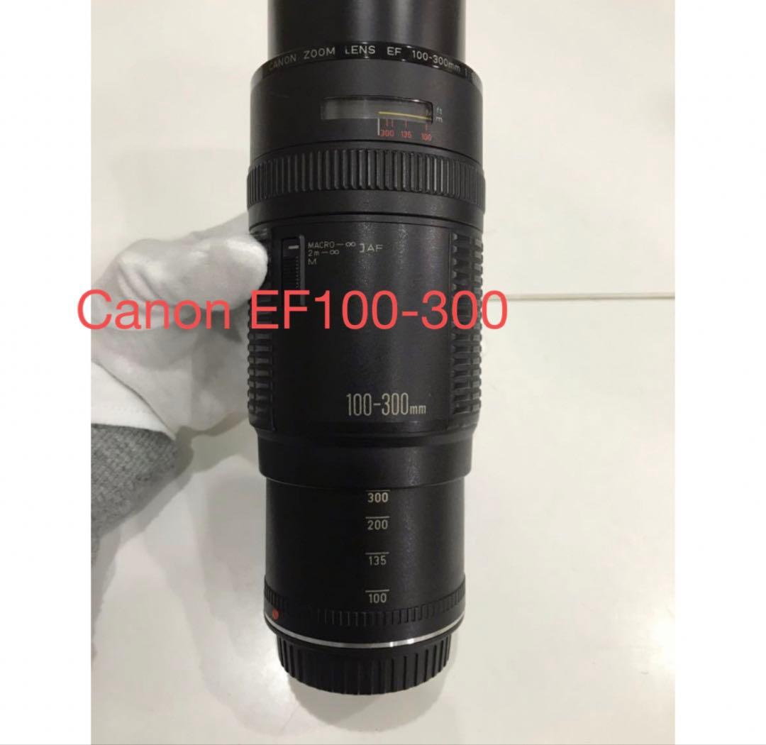 望遠レンズ/デジタル一眼レフカメラ/Canon EF100-300㎜