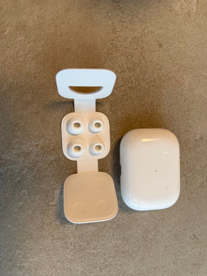 Apple AirPods Pro 本体と充電ケース