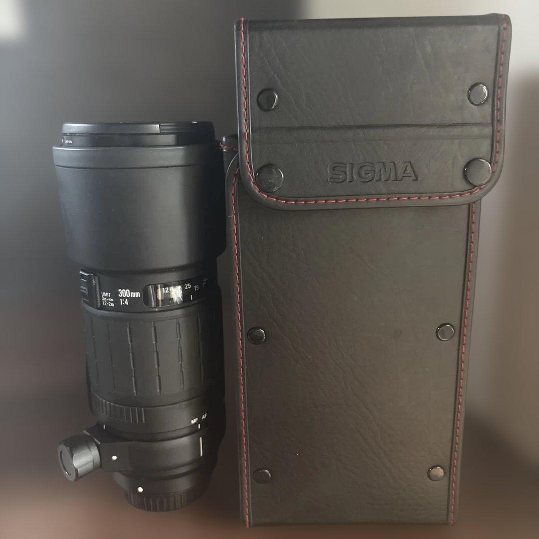 SIGMA 300mm F4 レンズ(単焦点)