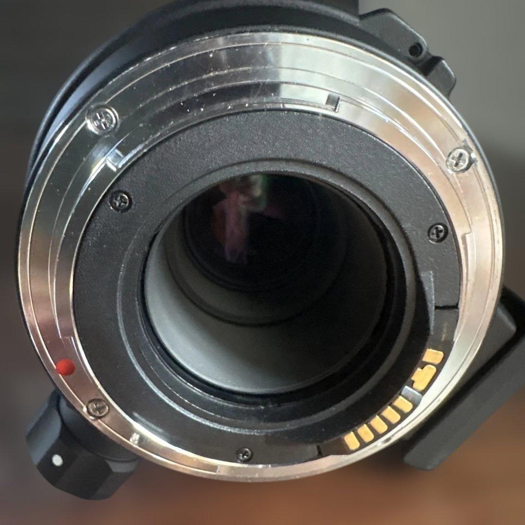 SIGMA 300mm F4 レンズ(単焦点)