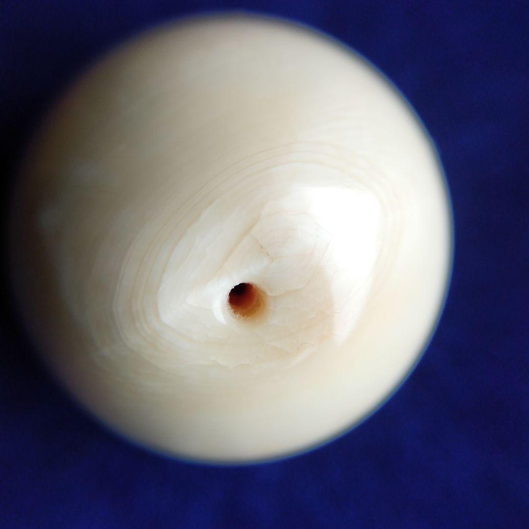 鯨歯　マッコウクジラ　牙玉　ルース　約23㎜　片穴約1.5㎜