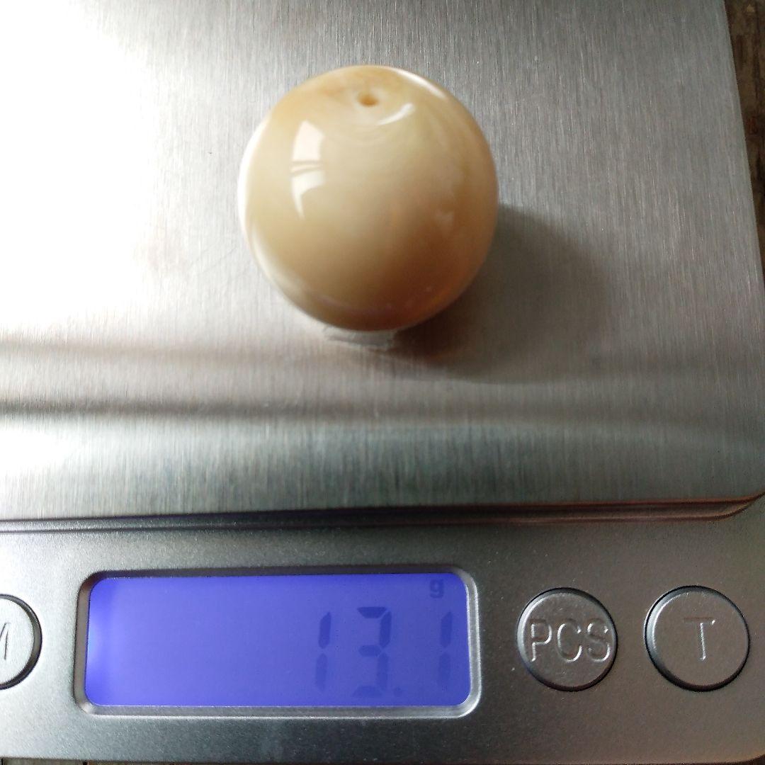 鯨歯　マッコウクジラ　牙玉　ルース　約23㎜　片穴約1.5㎜