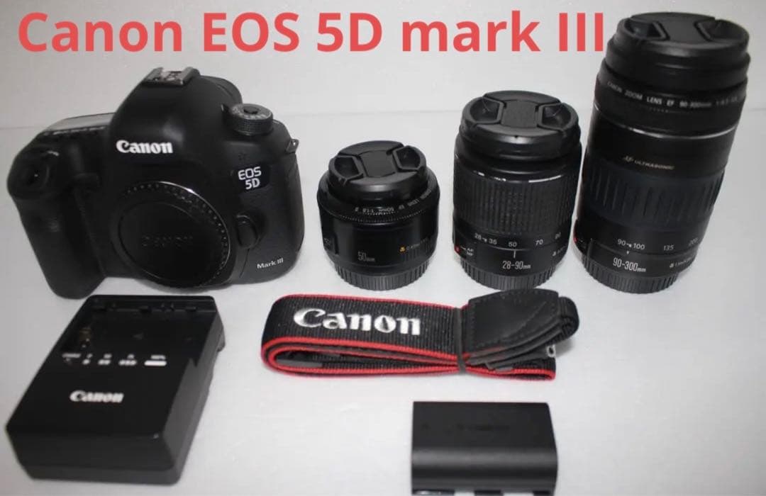 フルサイズ約2230万画素☆Canon EOS 5D MarkIIIレンズセット