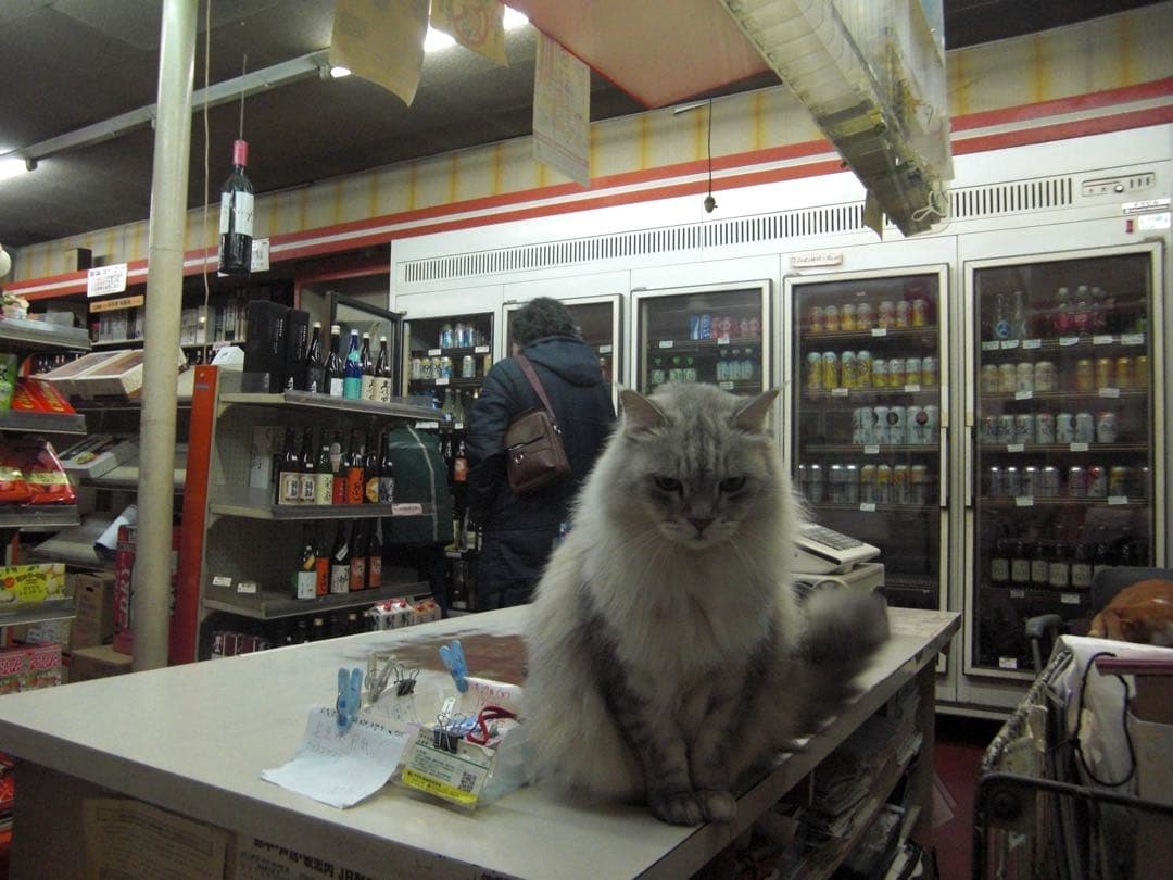 CASIO EXILIM EX-Z200 デジタルカメラ 動作確認済 平成レトロ