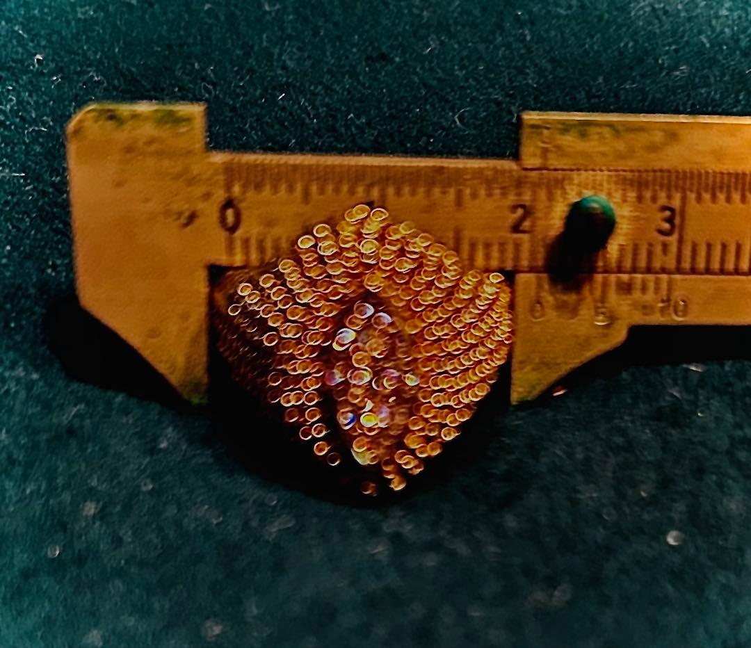 K18 ダイヤ　リング　Vergano(Itary)