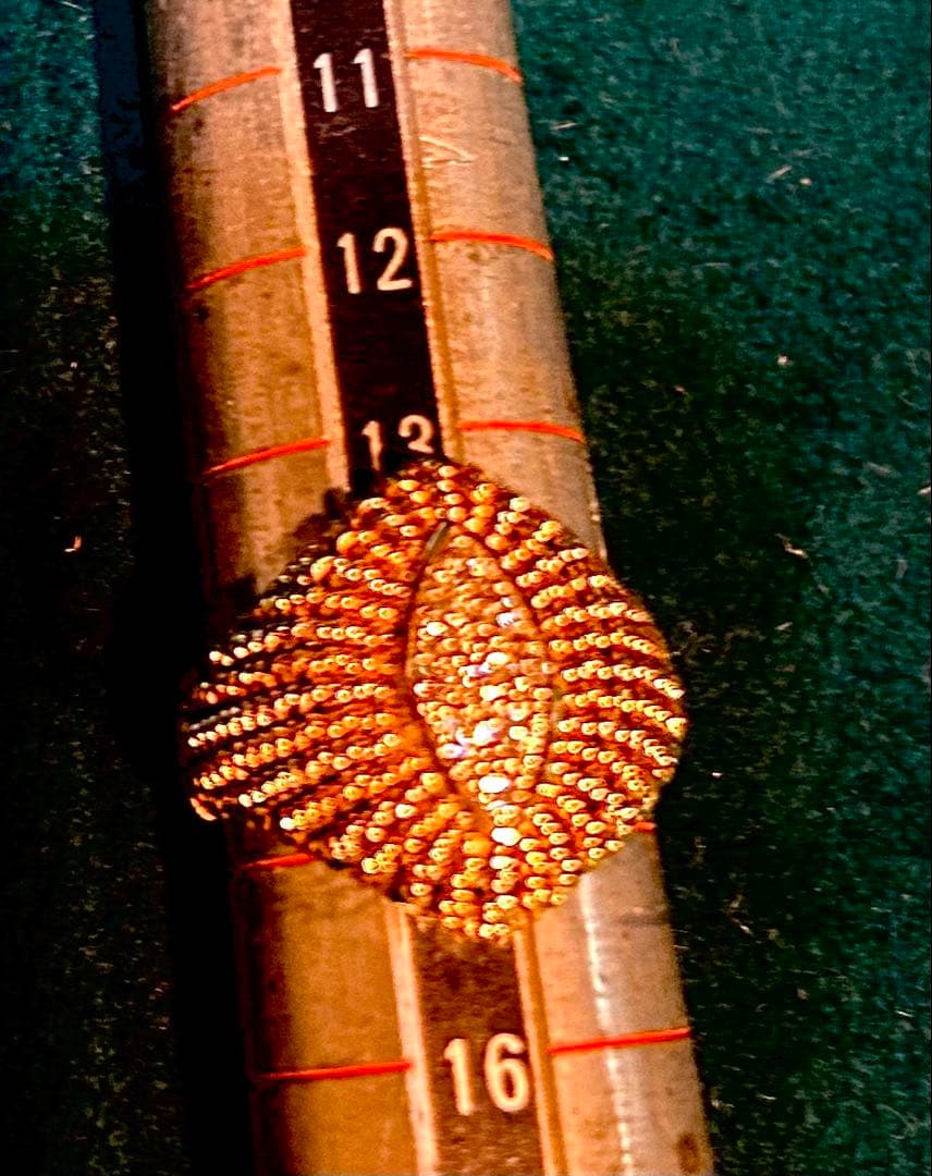 K18 ダイヤ　リング　Vergano(Itary)