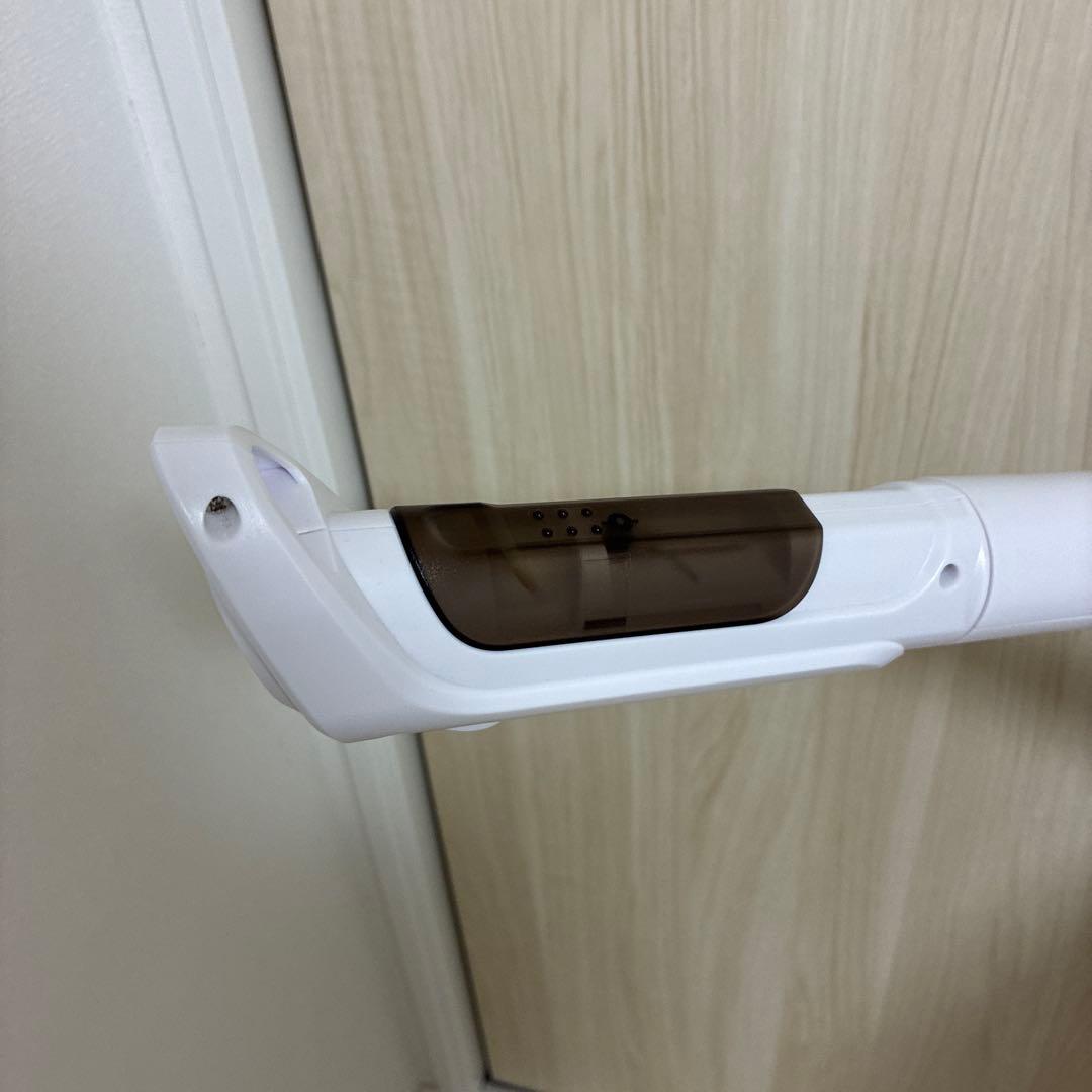 SEVEN BEAUTY FS100 フェイススチーマー