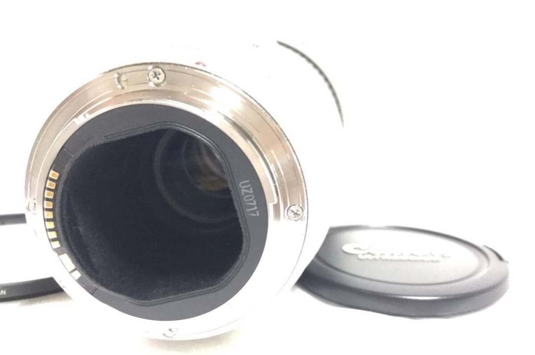 キャノン CANON EF 300mm F4 L IS USM