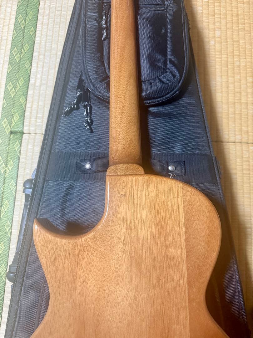 GRASS ROOTS G-AC-45 ケース付コンパクトアコースティックギター