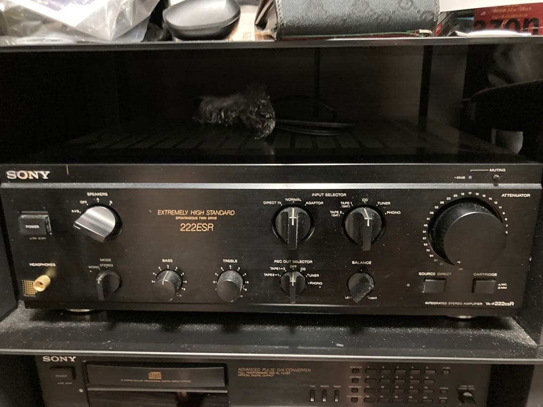 その他 SONY TA-F222ESR