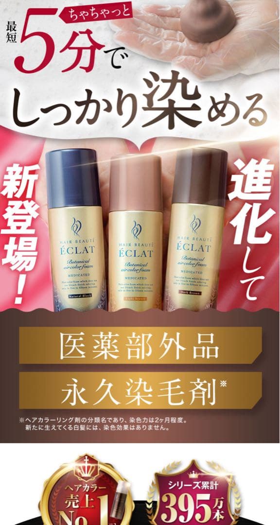 ヘアボーテエクラボタニカルエアカラーフォームEXダークブラウン80g (4個)