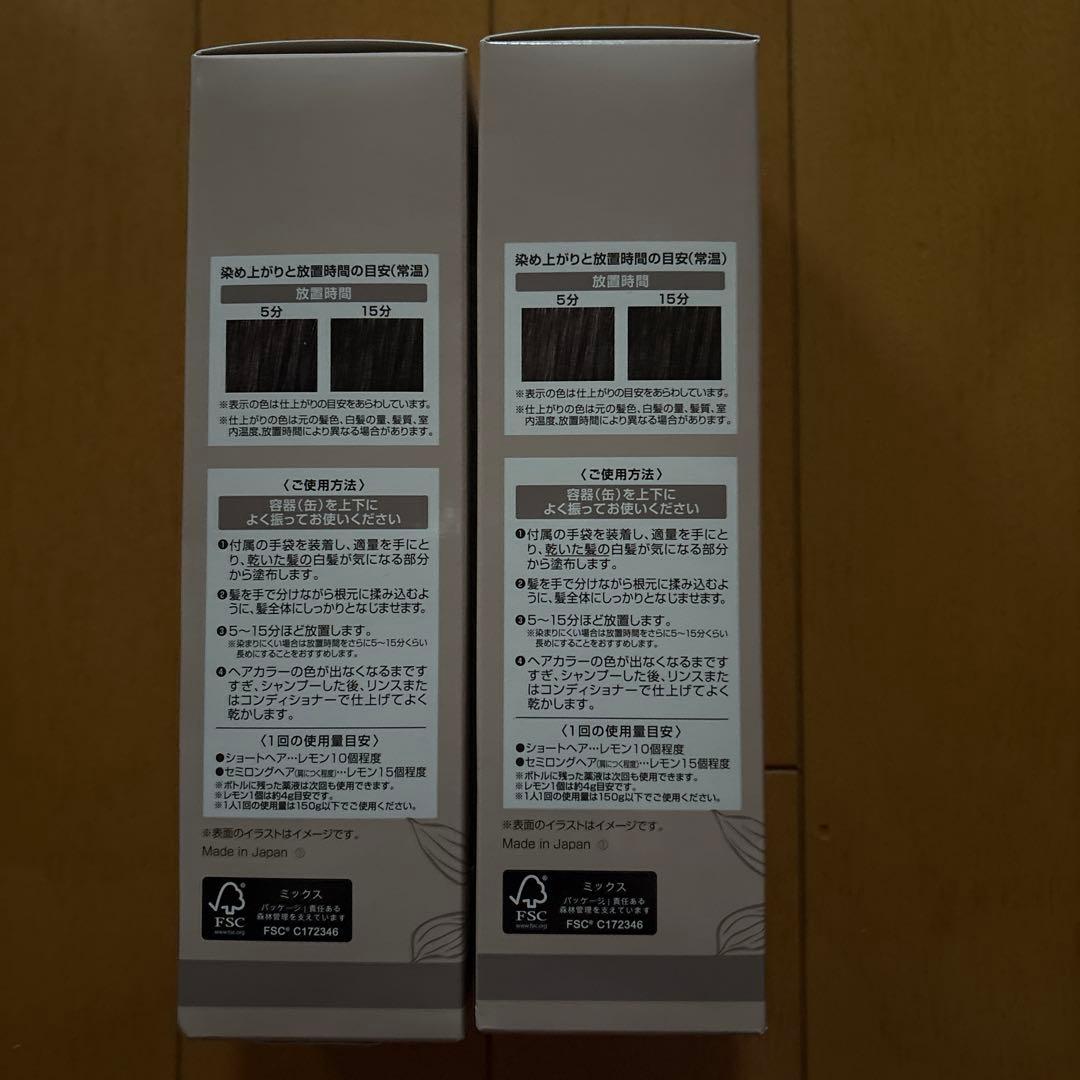 ヘアボーテ エクラ ボタニカルエアカラーフォーム2本セット