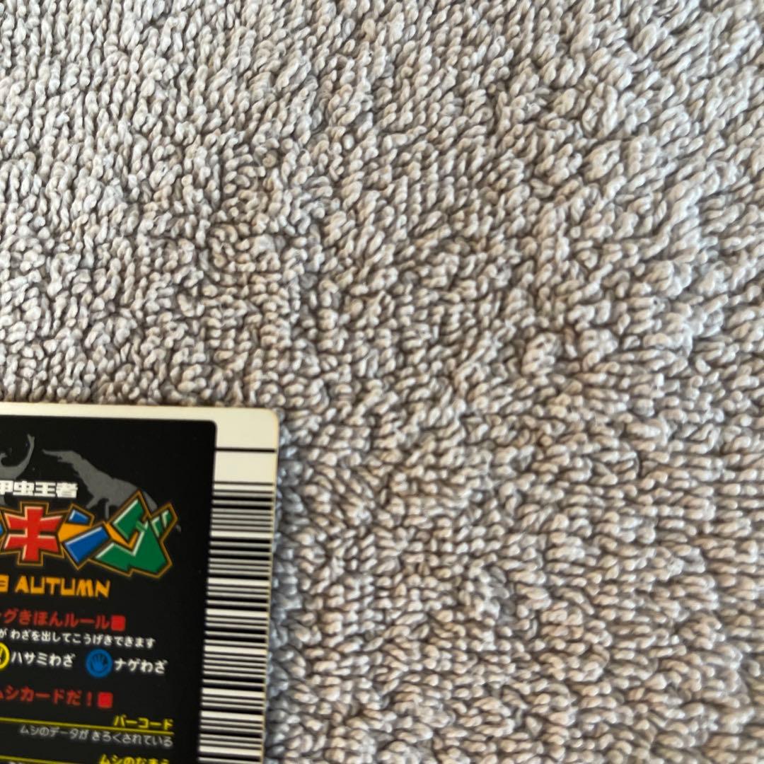 キラファノコギリクワガタ