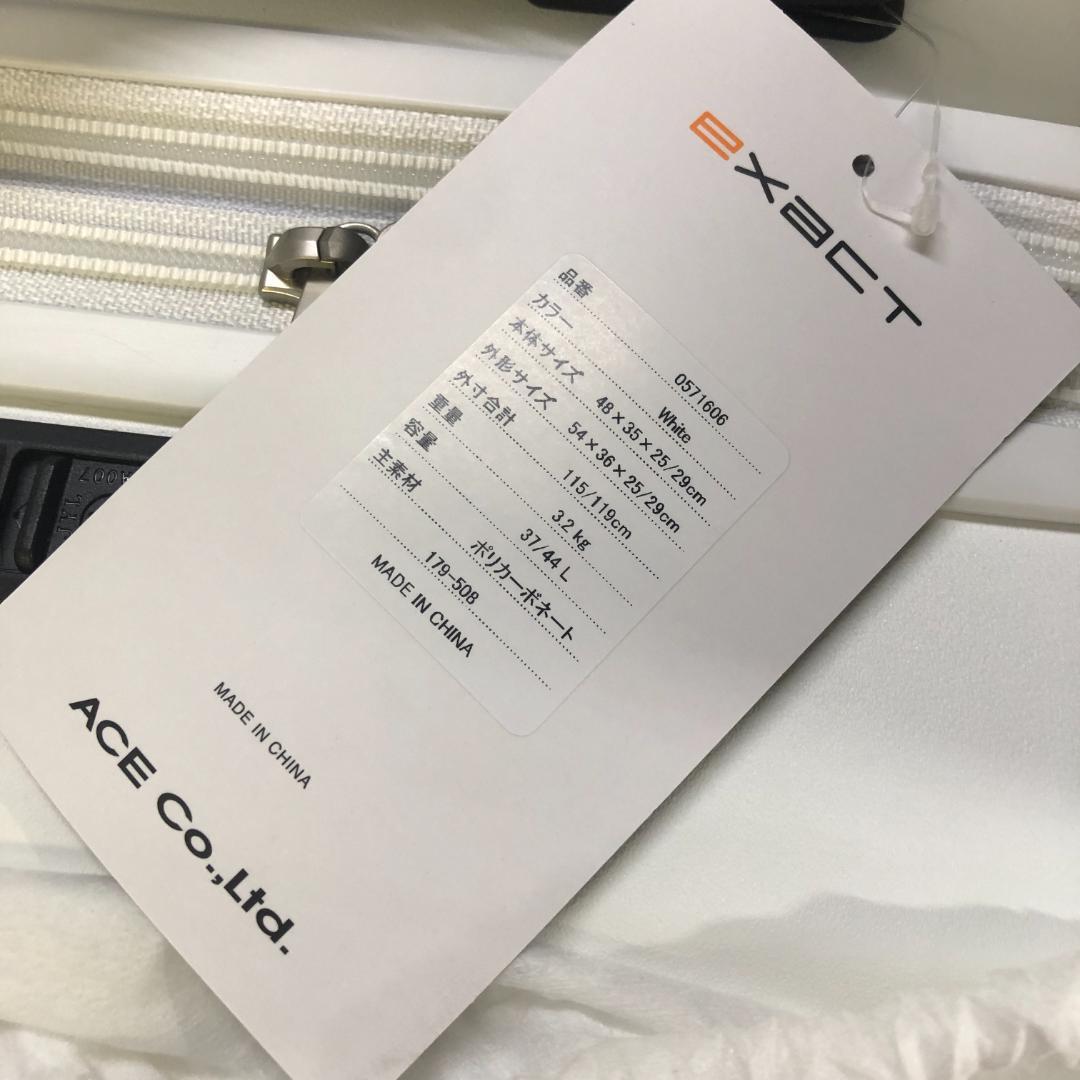 ACE イグザクト 機内持込みサイズ スーツケース/Y31642-A3