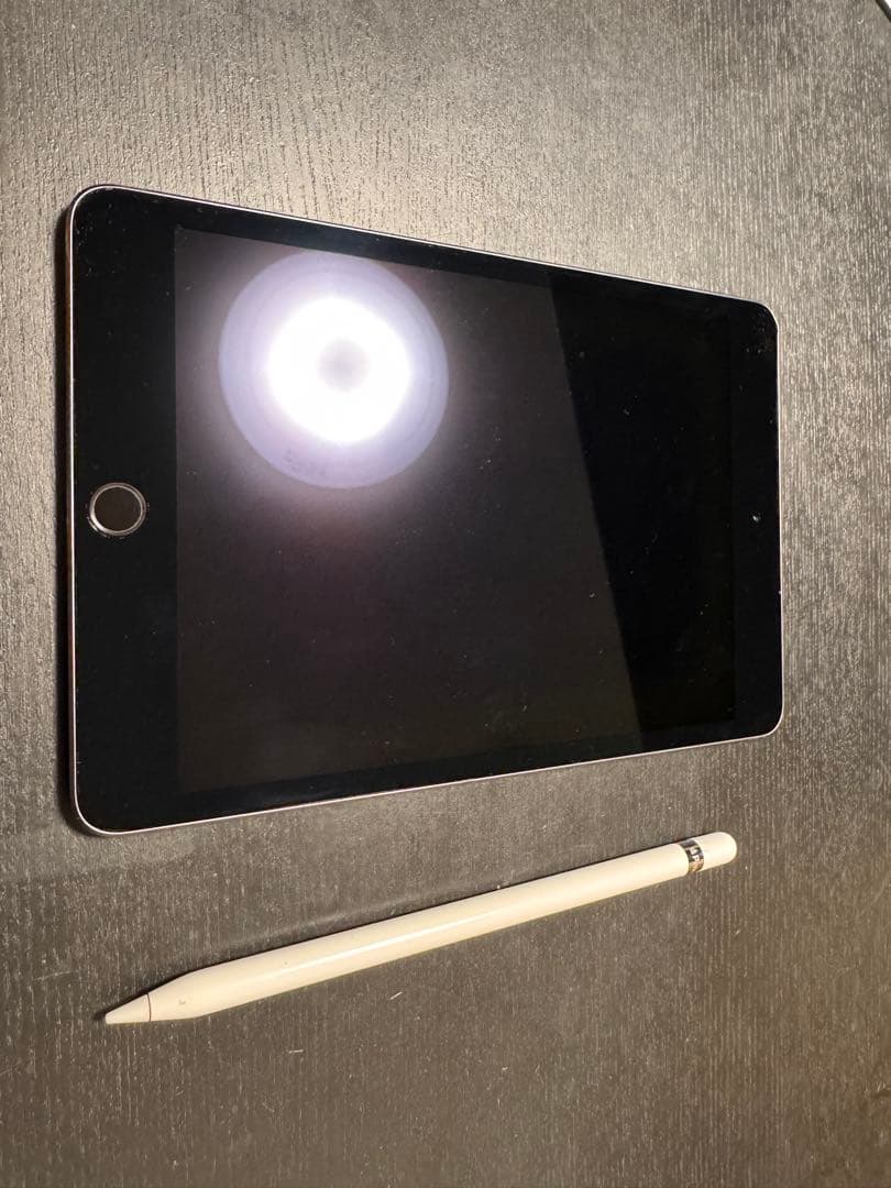 iPad mini スペースグレー 本体+対応Apple pencil