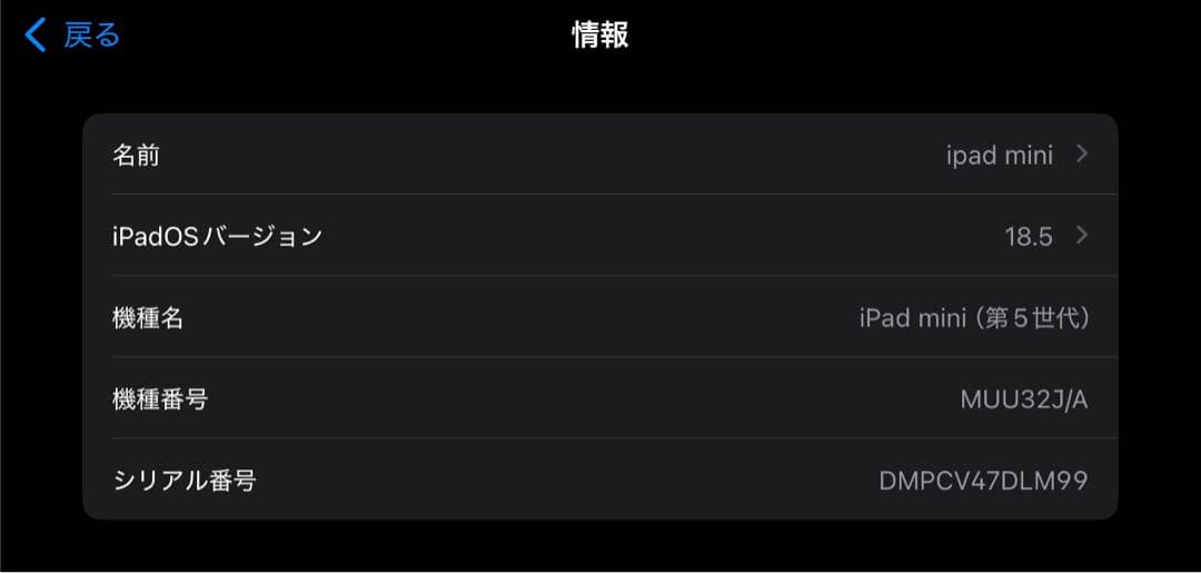 iPad mini スペースグレー 本体+対応Apple pencil