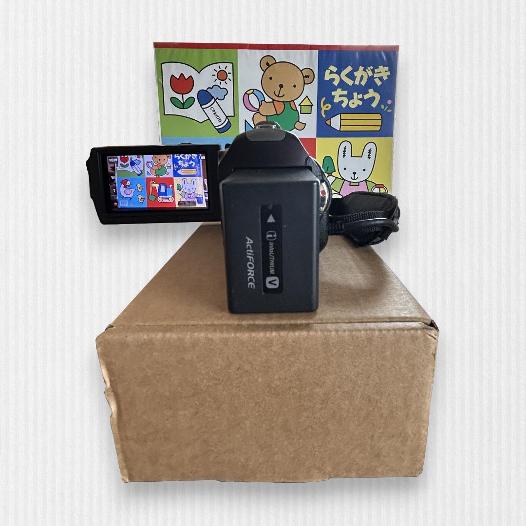 SONY ハンディカム HDR-CX560 デジタルHDビデオカメラレコーダー