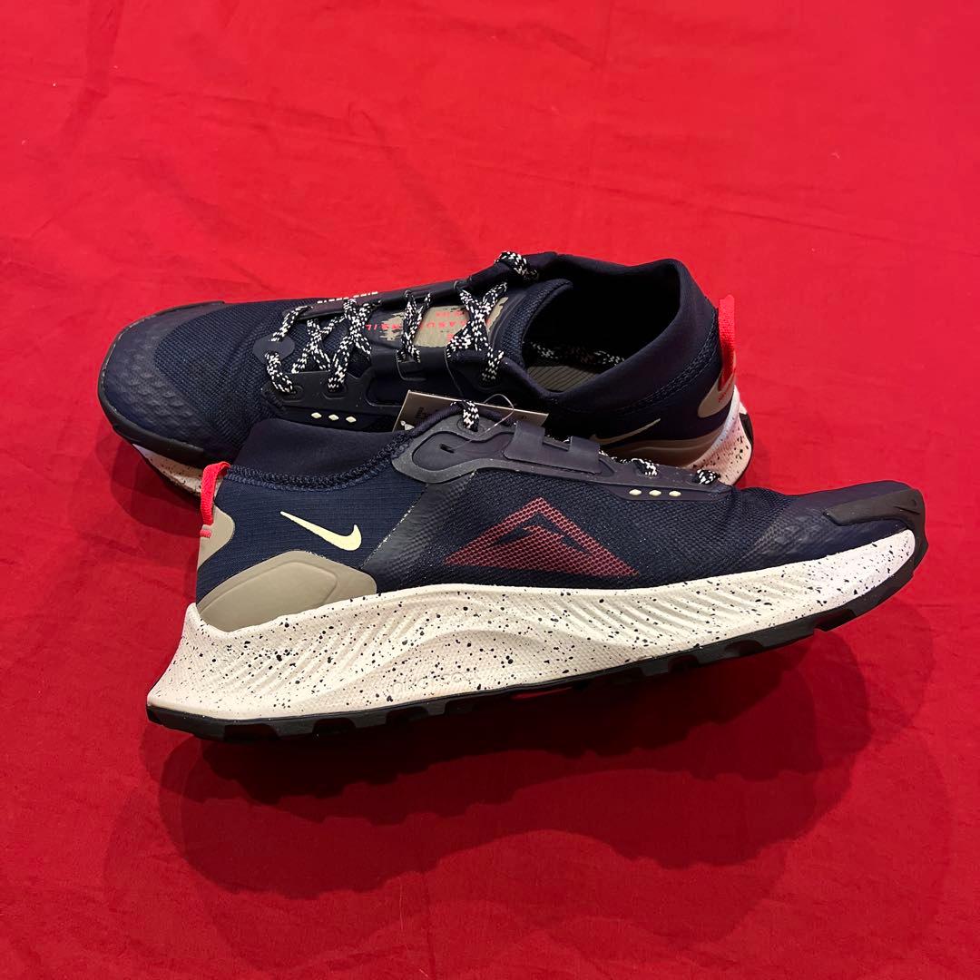 NIKE　ペガサス トレイル 3 ゴアテックス　ランニングシューズ　トレラン
