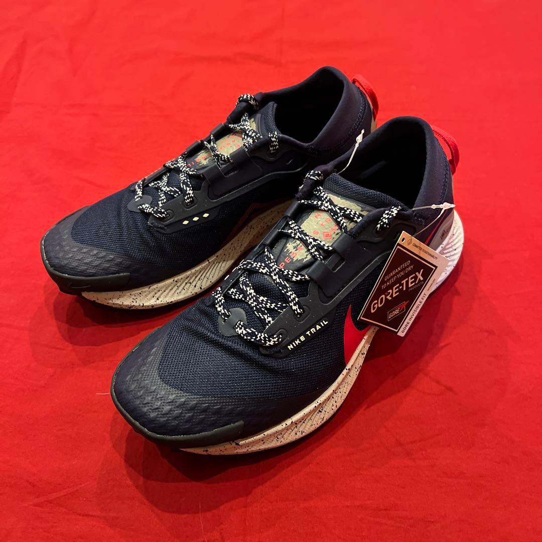 NIKE　ペガサス トレイル 3 ゴアテックス　ランニングシューズ　トレラン