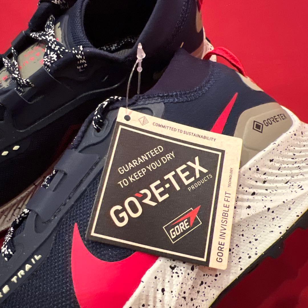 NIKE　ペガサス トレイル 3 ゴアテックス　ランニングシューズ　トレラン